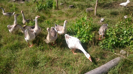 Similar image 22027057