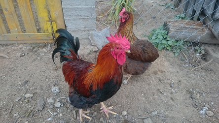 Similar image 22027058