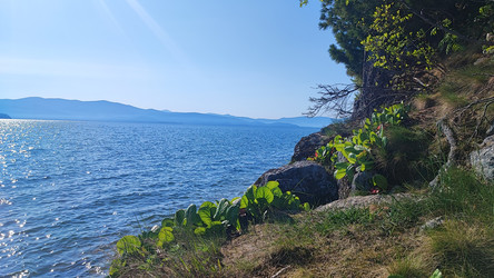 Similar image 22026977