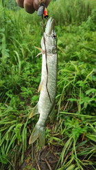 Similar image 22028043