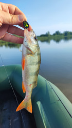 Similar image 22028532