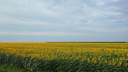 Similar image 22045703