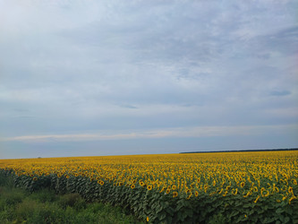 Similar image 22045704