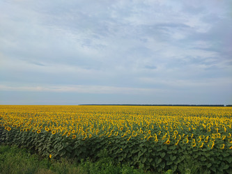 Similar image 22028048