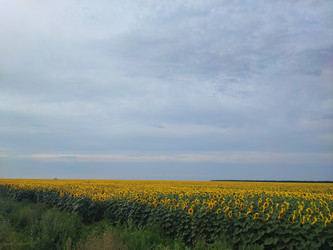 Similar image 22045705