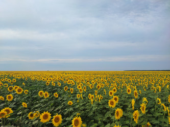 Similar image 22045706