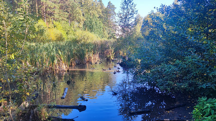 Similar image 22046529