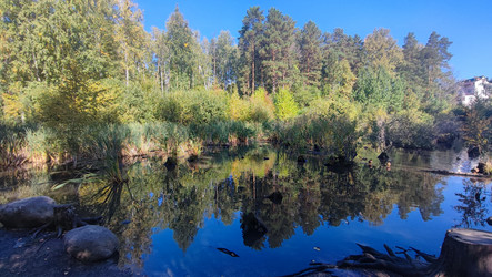 Similar image 22046530