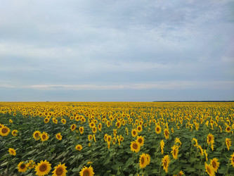 Similar image 22028049