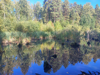 Similar image 22046531