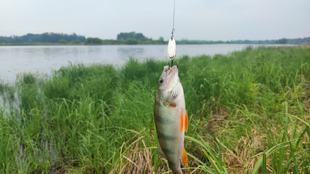 Similar image 22031275