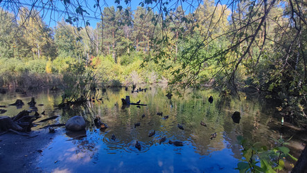 Similar image 22046532