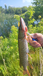 Similar image 22028533