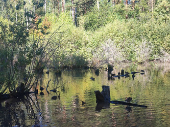 Similar image 22046533