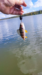 Similar image 22031276