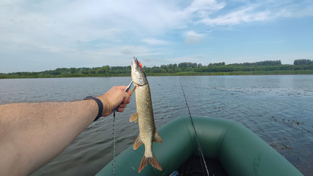 Similar image 22026979