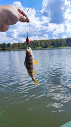 Similar image 22031277