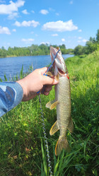 Similar image 22031278