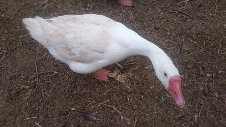 Similar image 22027268