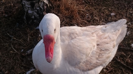 Similar image 22027269