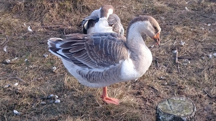 Similar image 22027270