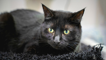 Similar image 22027776