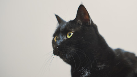 Similar image 22027783