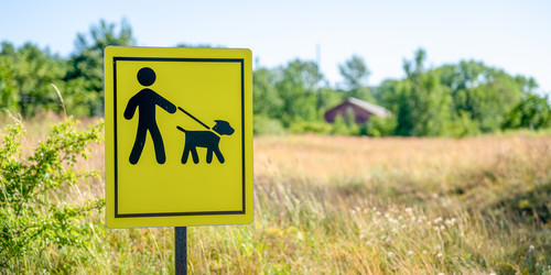 Similar image 22027786