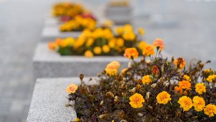 Similar image 22027788