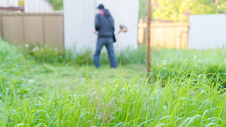 Similar image 22027800