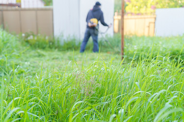 Similar image 22027802