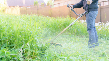 Similar image 22027821