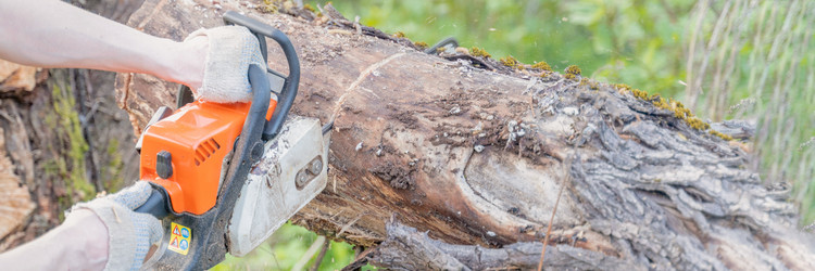 Similar image 22027822