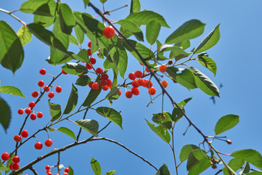 Similar image 22026736