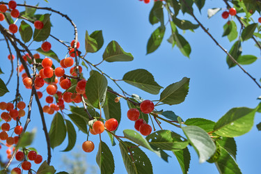 Similar image 22026737