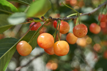 Similar image 22026738