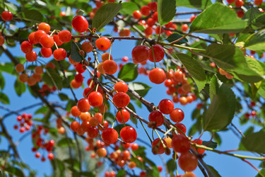 Similar image 22026739