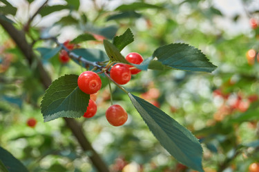 Similar image 22026742