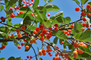 Similar image 22027018