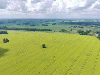 Similar image 22027730