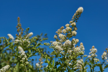 Similar image 22028534