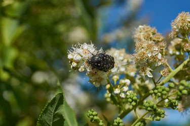 Similar image 22028535