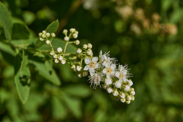 Similar image 22028538