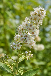 Similar image 22028539