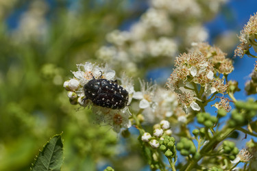 Similar image 22028540