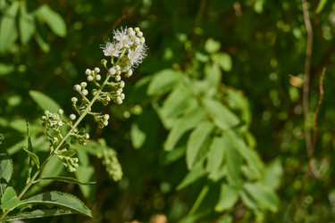 Similar image 22028541