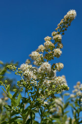 Similar image 22028542