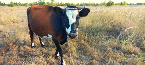 Similar image 22030763