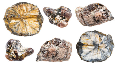 Similar image 22028285