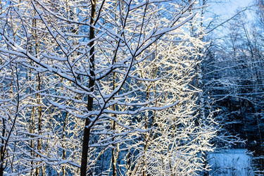 Similar image 22028180